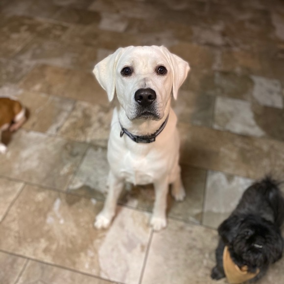 Meet your Posher - Picture 10 of 11